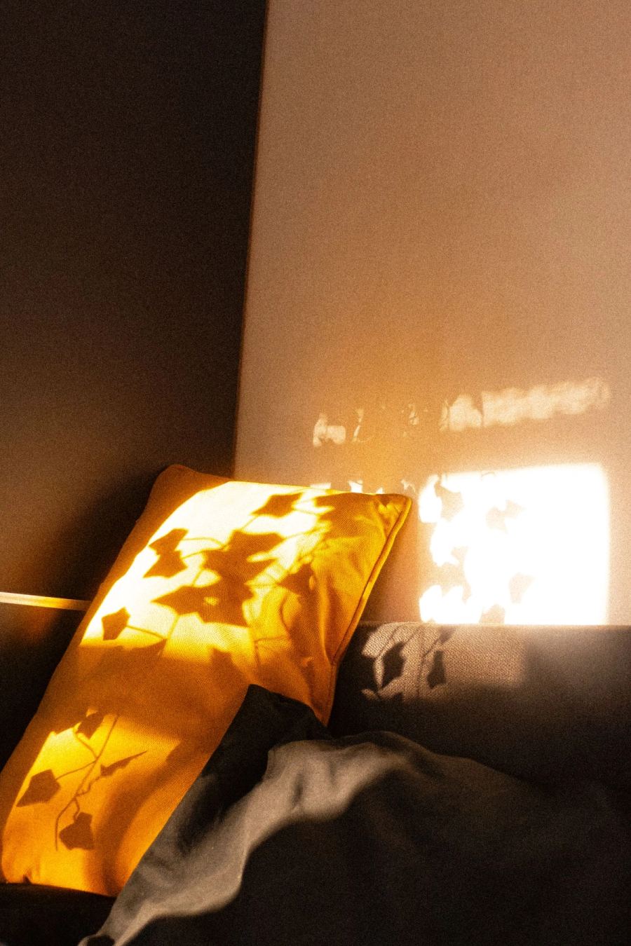Sunlight falling across a linen-dressed bed and a rattan chair in a warm plaster room