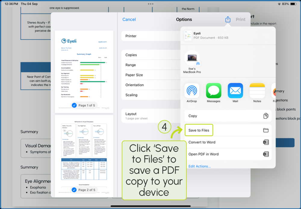 iPad share sheet with 'Save to Files' highlighted, to save a PDF copy to the device