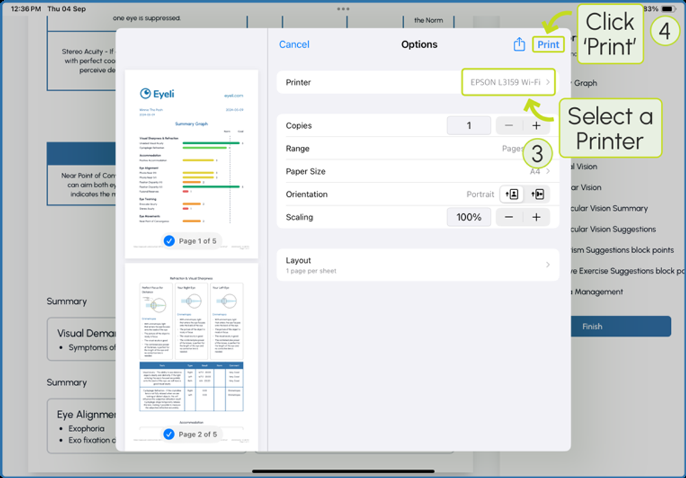 Print options dialog with a printer selected and a Print button in the top-right corner