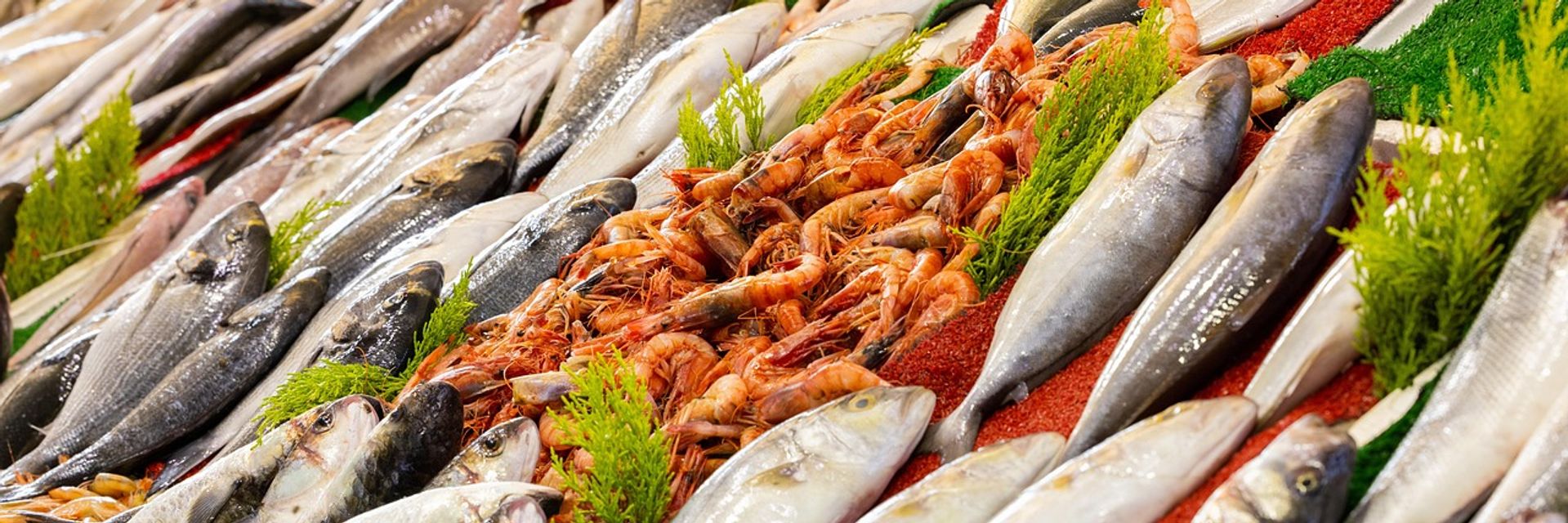 Photo of seafood and fish at a market