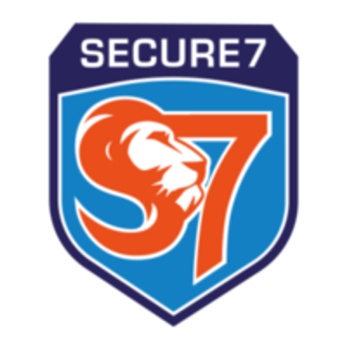 Secure 7 logo