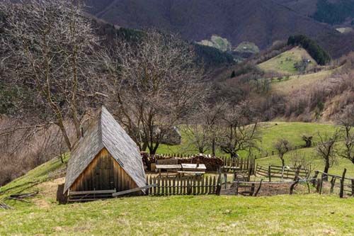 Coliba Hoadrea