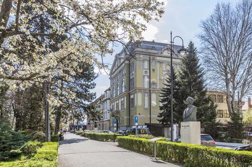 Palatul Asociațiunii