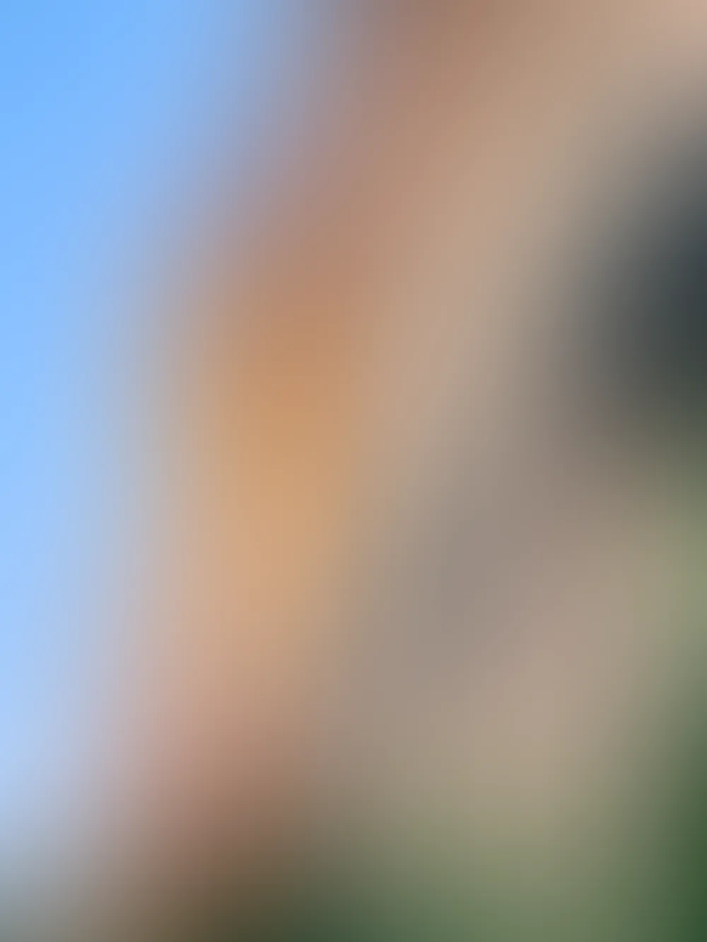 National Centre for Photography