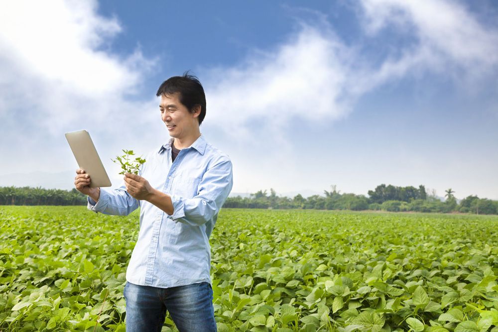 Crop Consultants