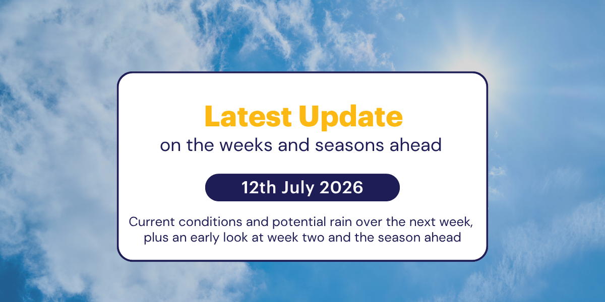 The Weekly Update: 12th July 2026