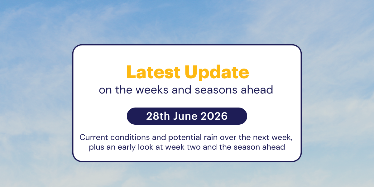 The Weekly Update: 28th June 2026