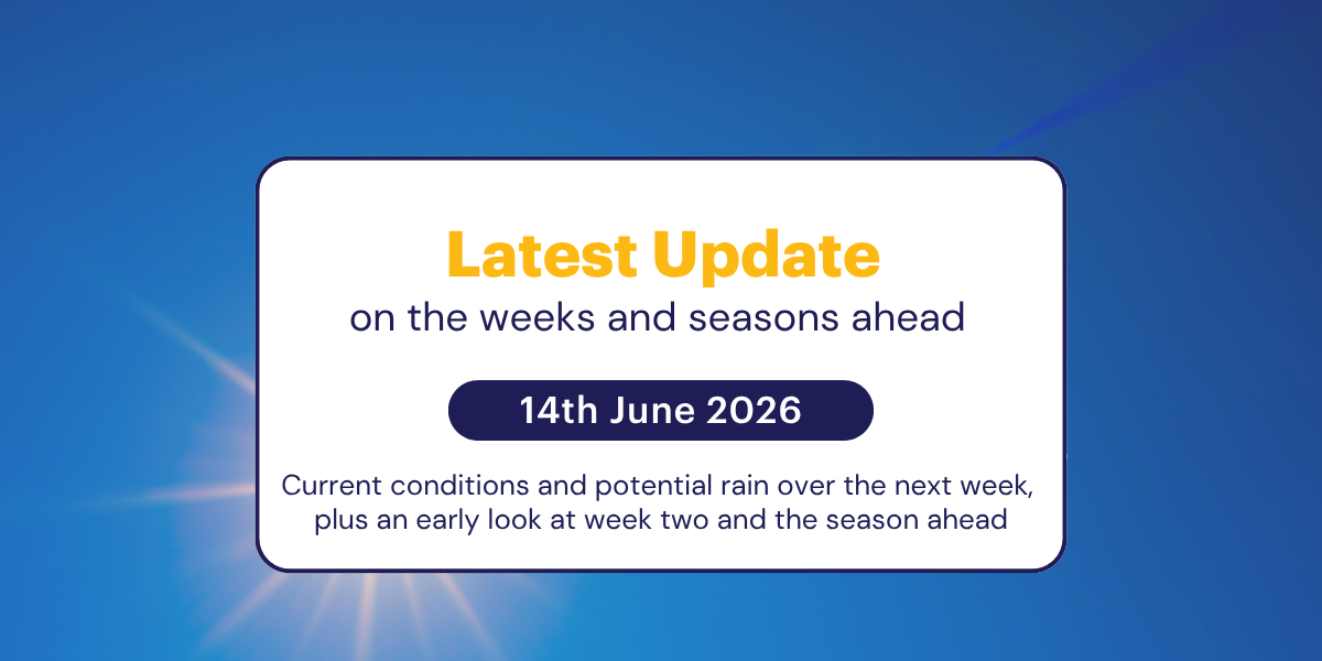 The Weekly Update: 14th June 2026