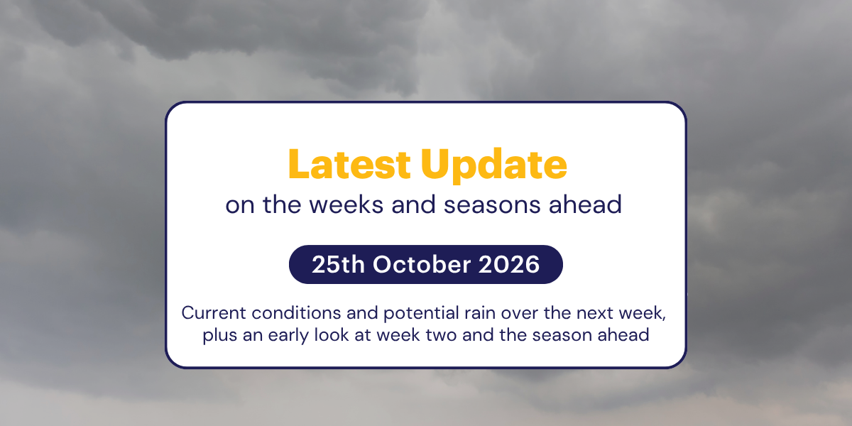 The Weekly Update: 25th October 2026