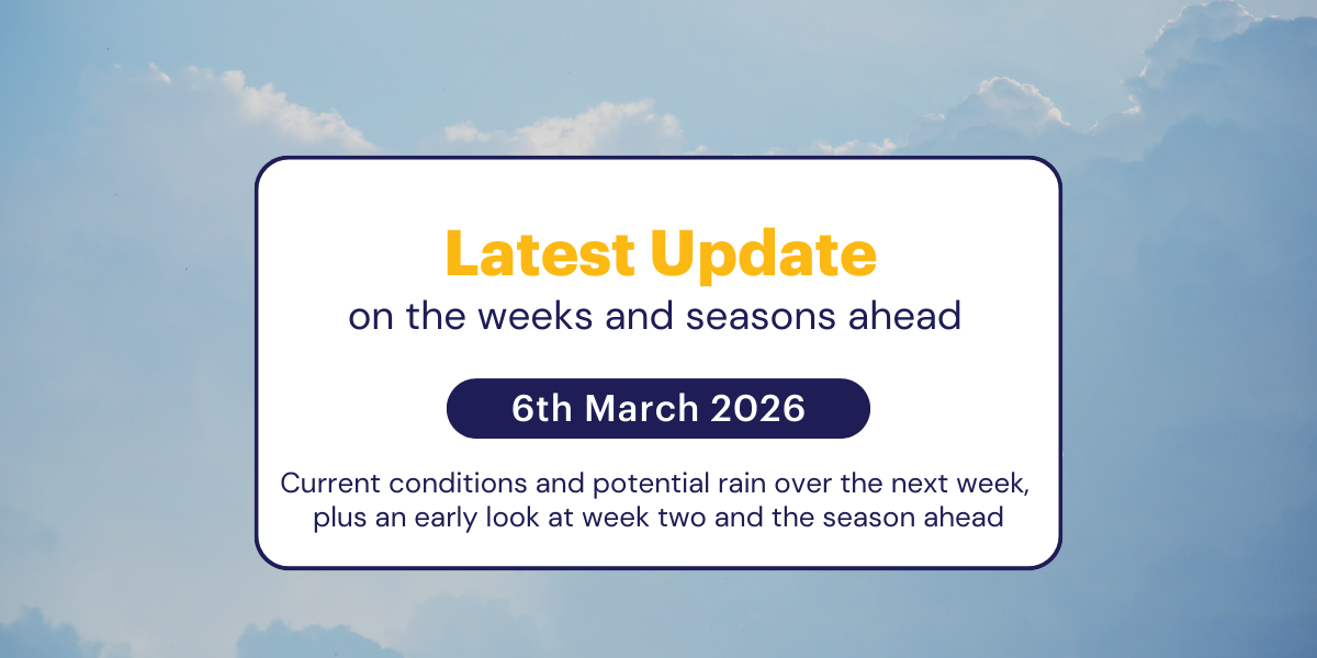 Jane's Weekly Update: 6th March 2026