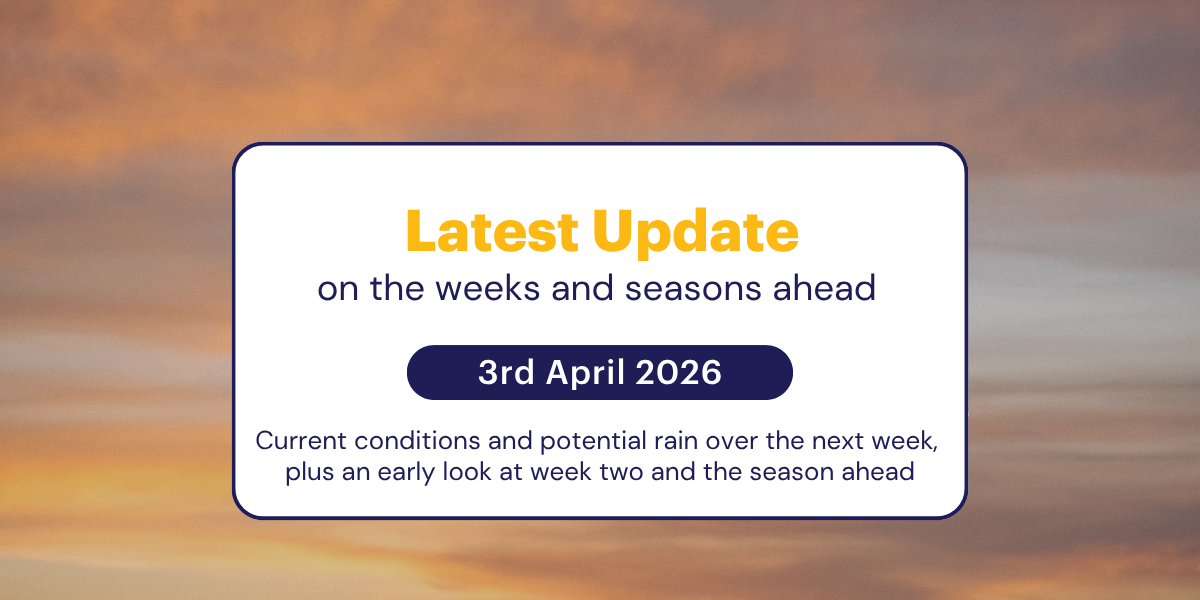 Jane's Weekly Update: 3rd April 2026