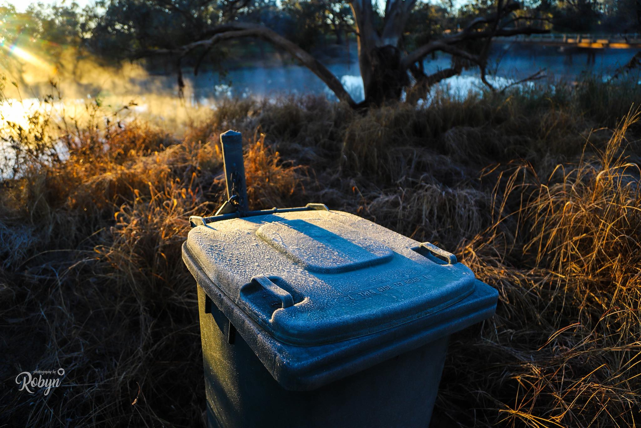 The frost has spread right up into Queensland, with -5C experienced in Oakey this morning