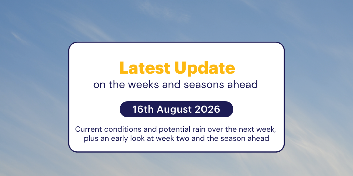 The Weekly Update: 16th August 2026