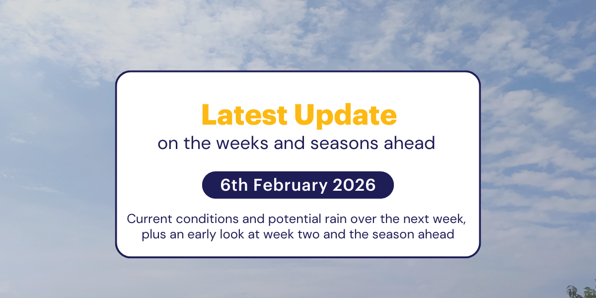 Jane's Weekly Update: 6th February 2026