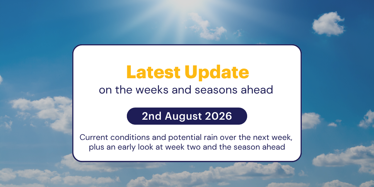 The Weekly Update: 2nd August 2026