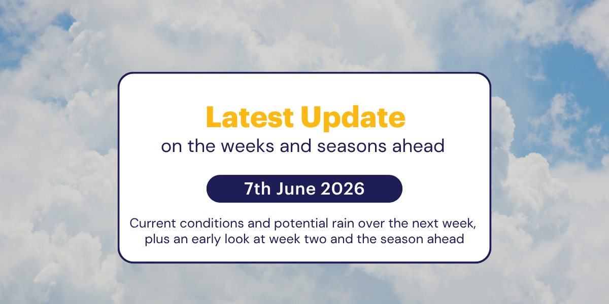 The Weekly Update: 7th June 2026