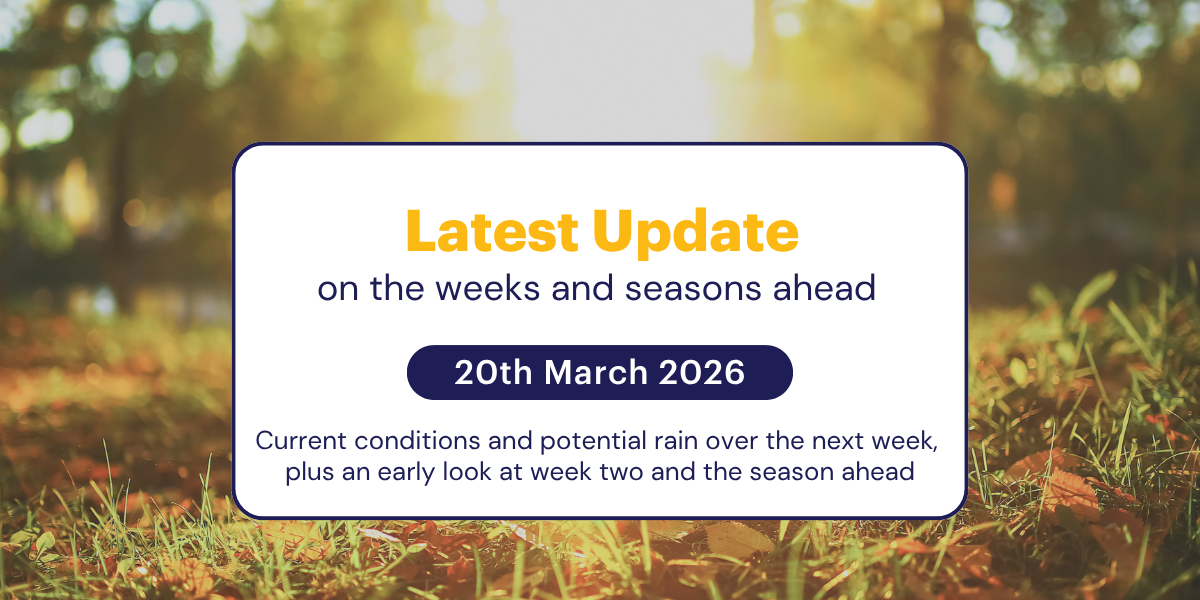 Jane's Weekly Update: 20th March 2026