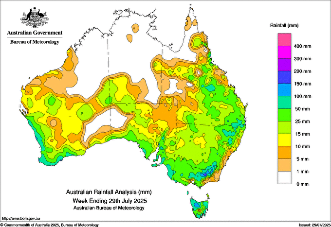 Rainfall totals in the week leading up to July 29th