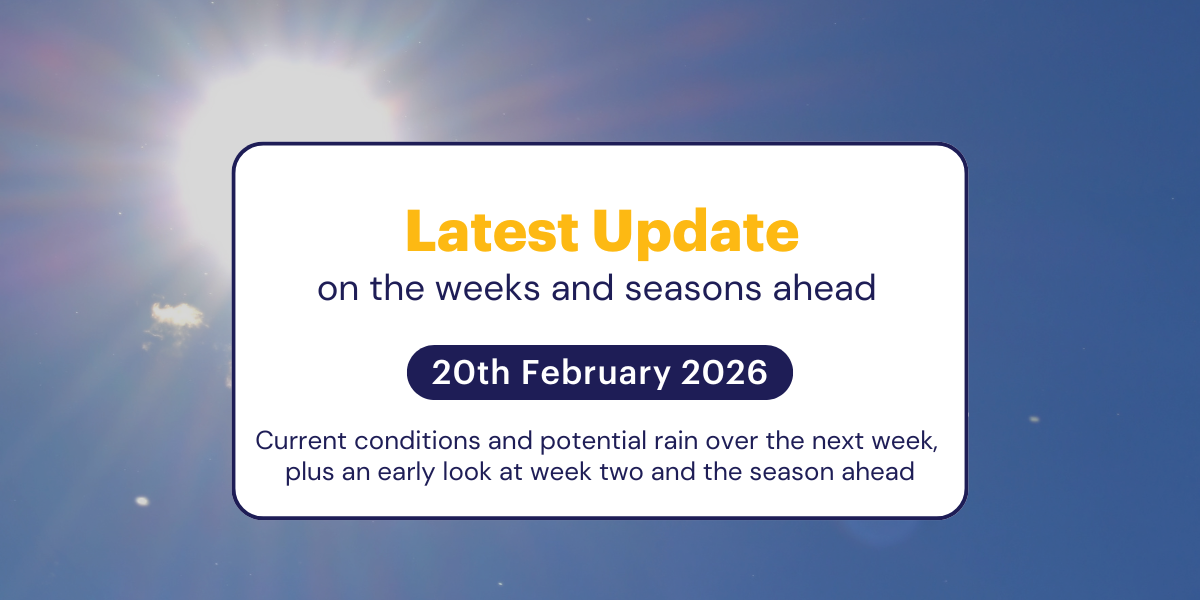 Jane's Weekly Update: 20th February 2026