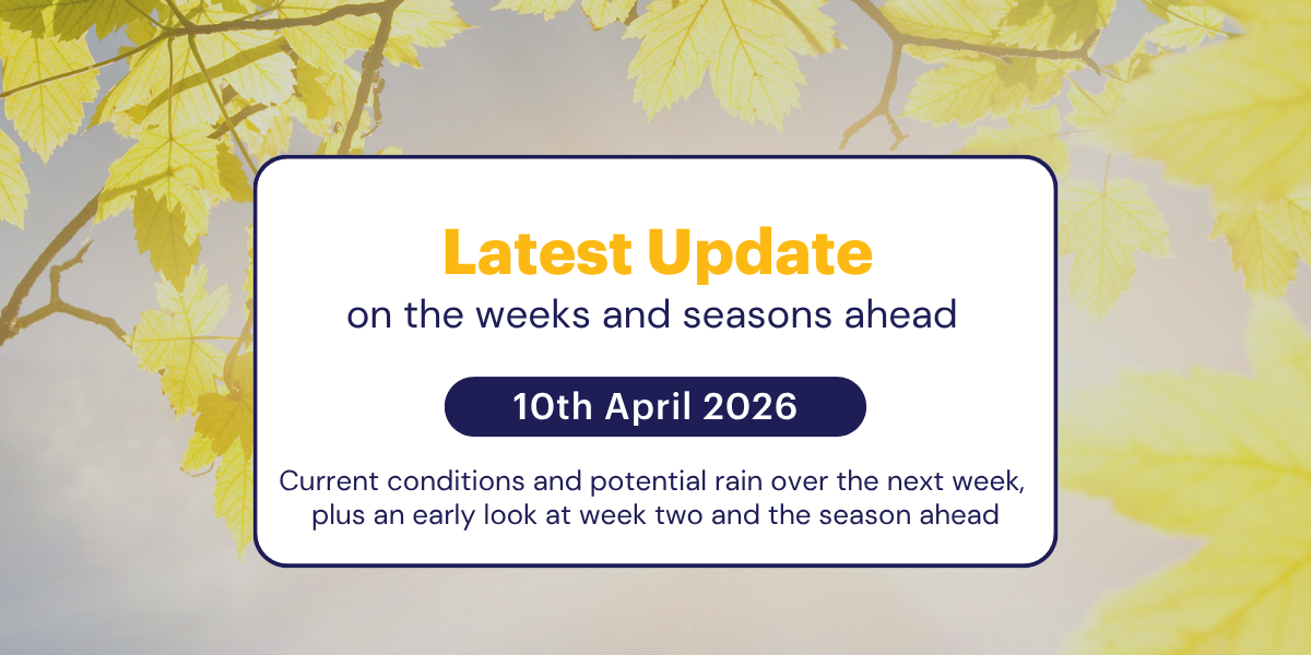 Jane's Weekly Update: 10th April 2026