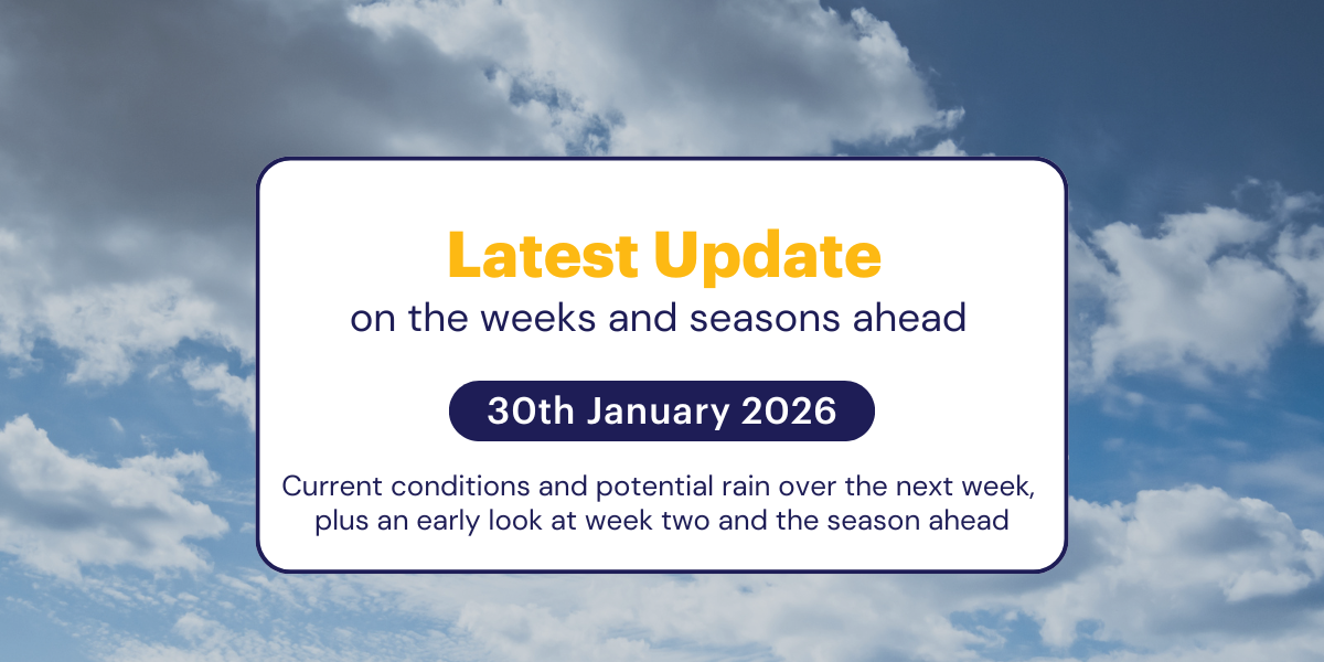 Jane's Weekly Update: 30th January 2026