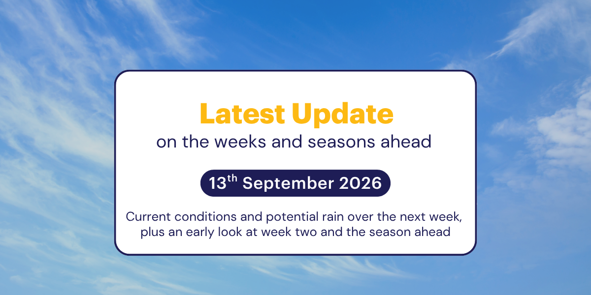 The Weekly Update: 13th September 2026