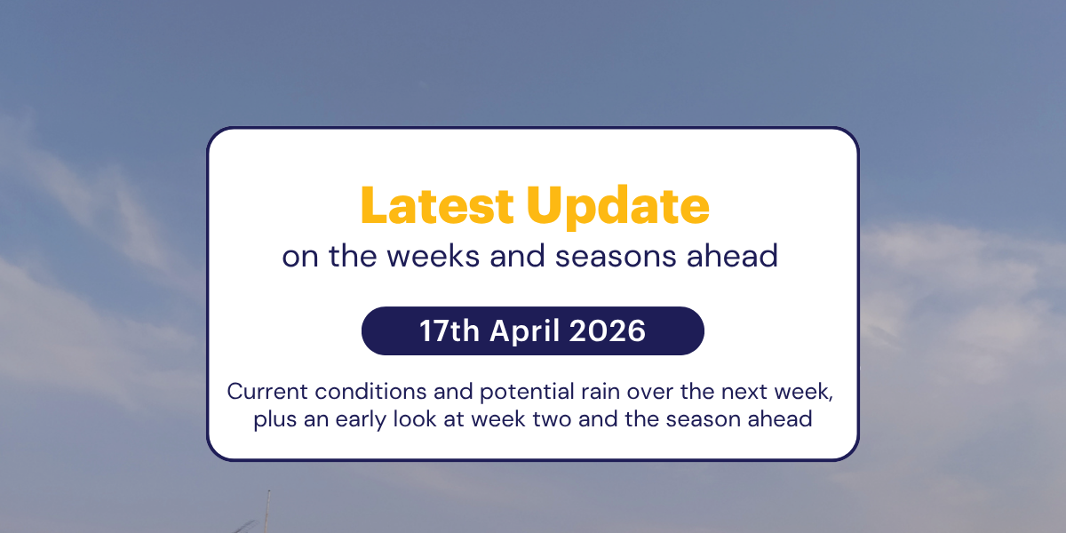 Jane's Weekly Update: 17th April 2026