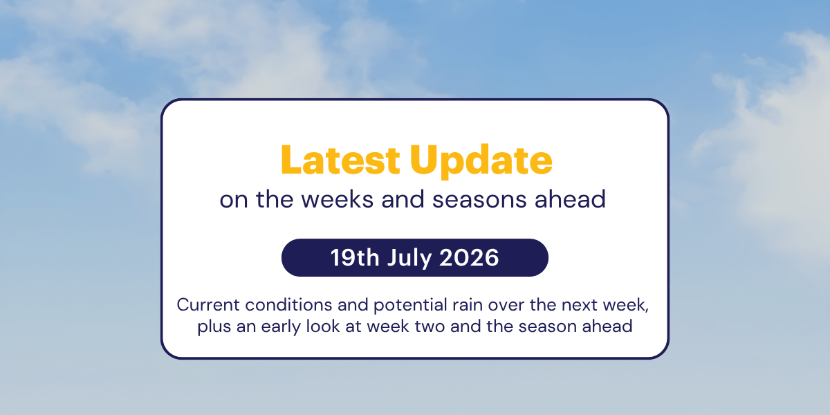 The Weekly Update: 19th July 2026