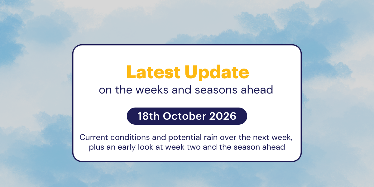 The Weekly Update: 18th October 2026 