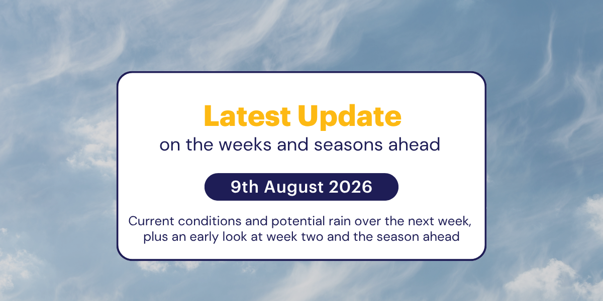 The Weekly Update: 9th August 2026