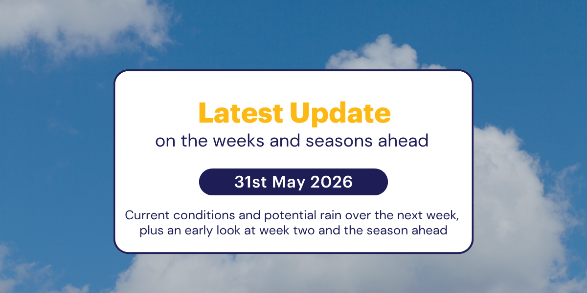 The Weekly Update: 31st May 2026