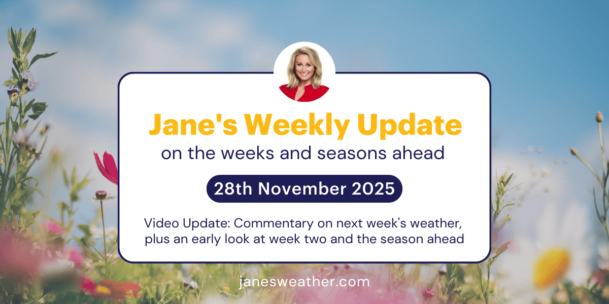 Jane's Weekly Update: 28th November 2025