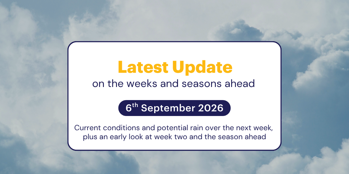 The Weekly Update: 6th September 2026