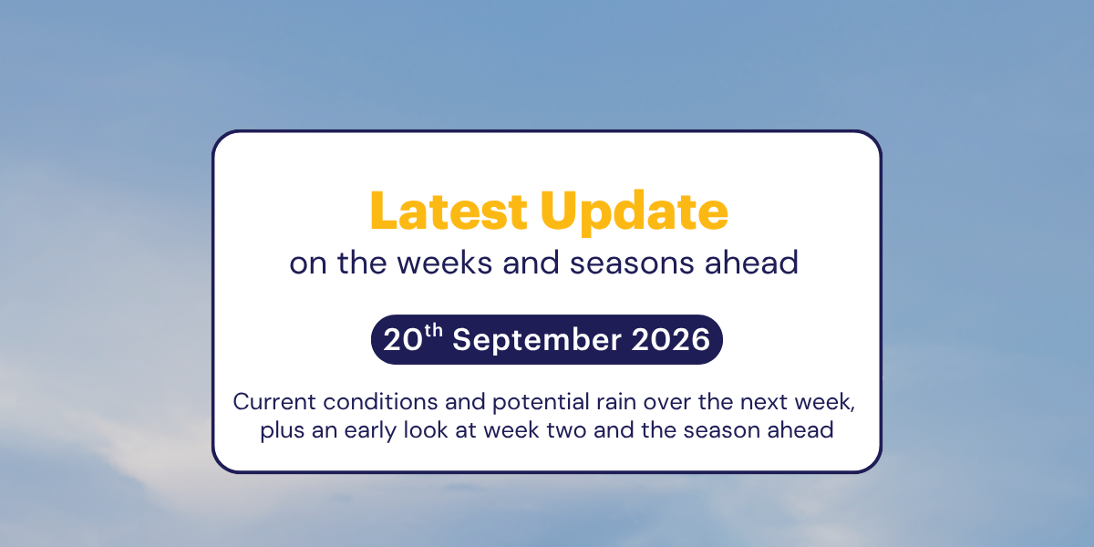 The Weekly Update: 20th September 2026
