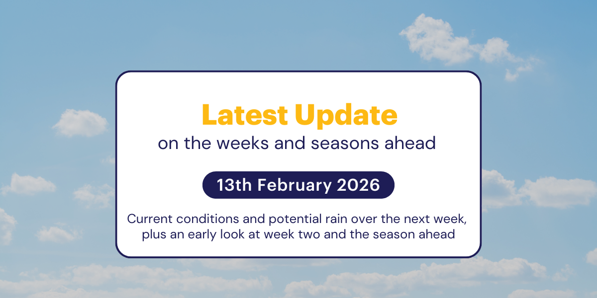 Jane's Weekly Update: 13th February 2026