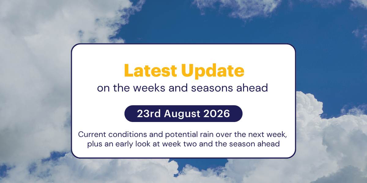 The Weekly Update: 23rd August 2026