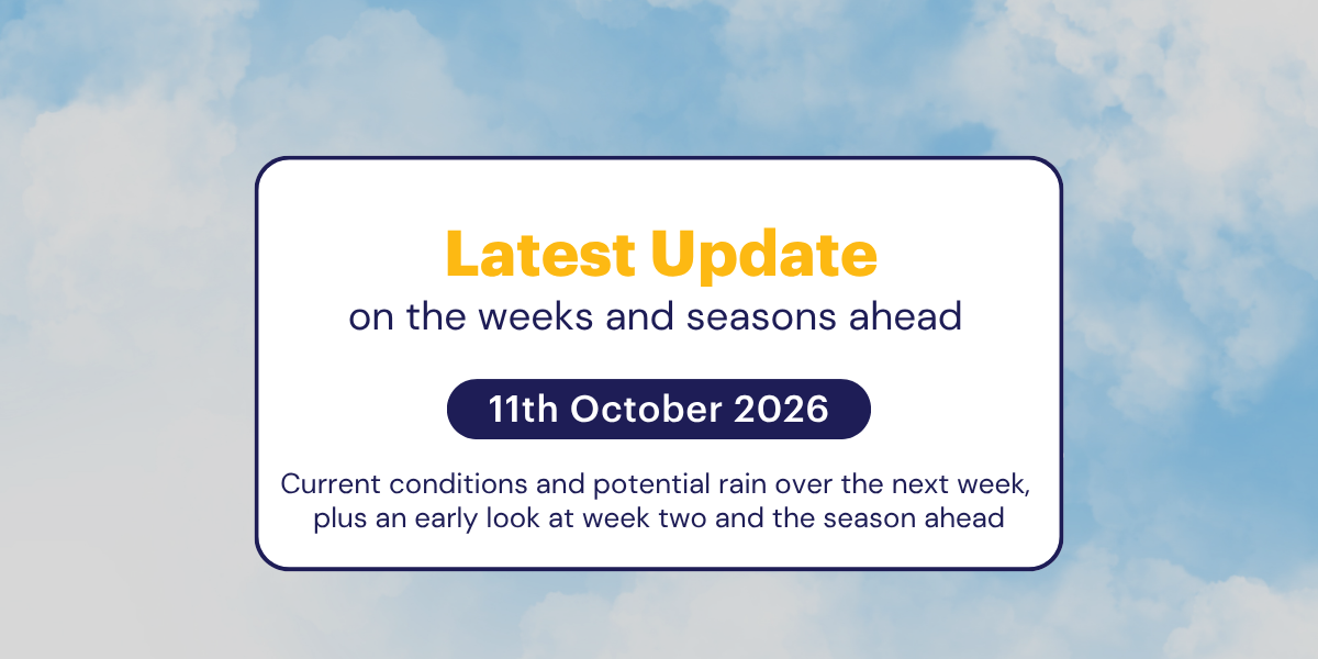 The Weekly Update: 11th October 2026