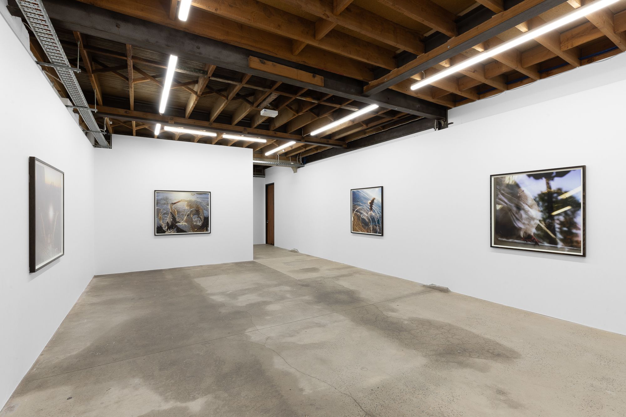 A collective lens with an individual attitude ii