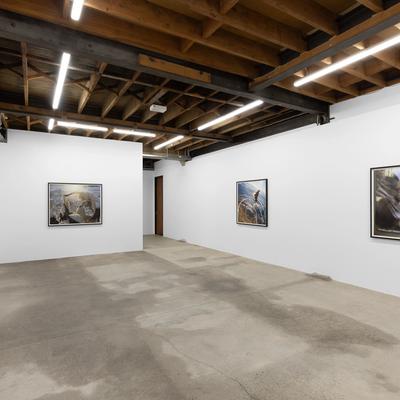 A collective lens with an individual attitude ii