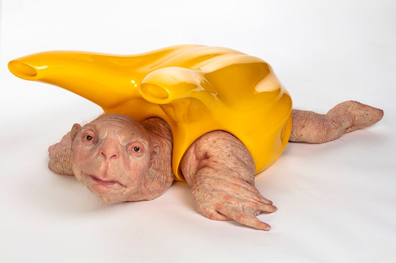 From so simple a beginning, endless forms most beautiful