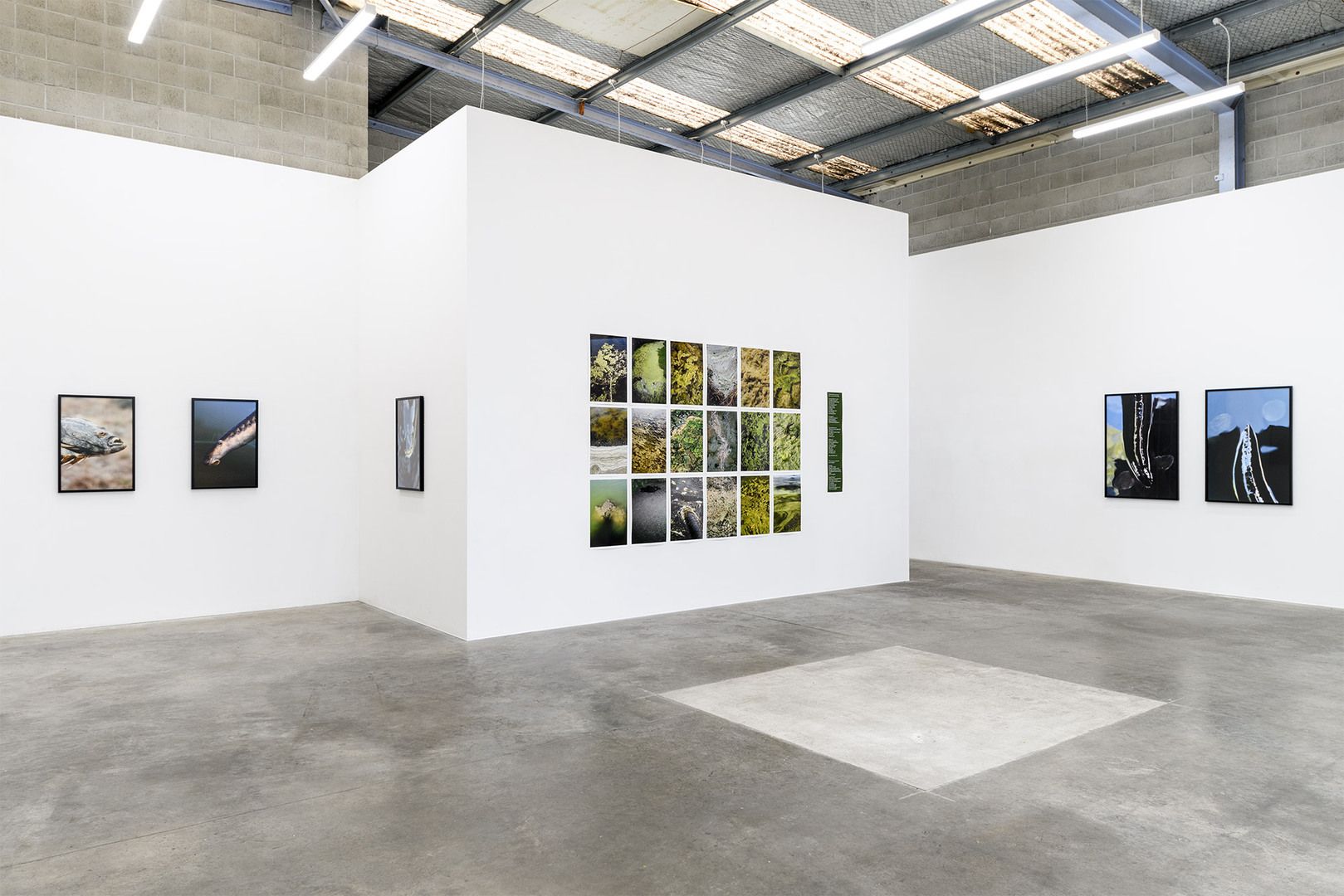 Canterbury Landscape