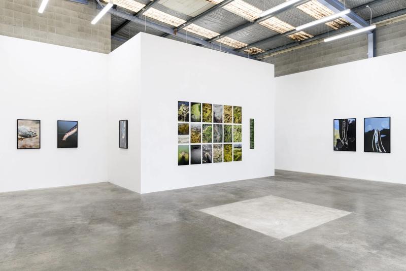 Canterbury Landscape