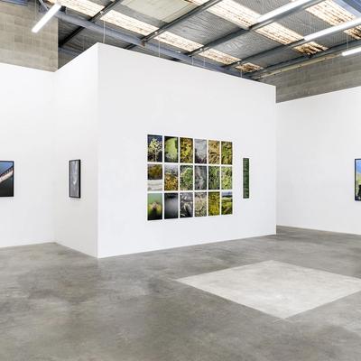 Canterbury Landscape