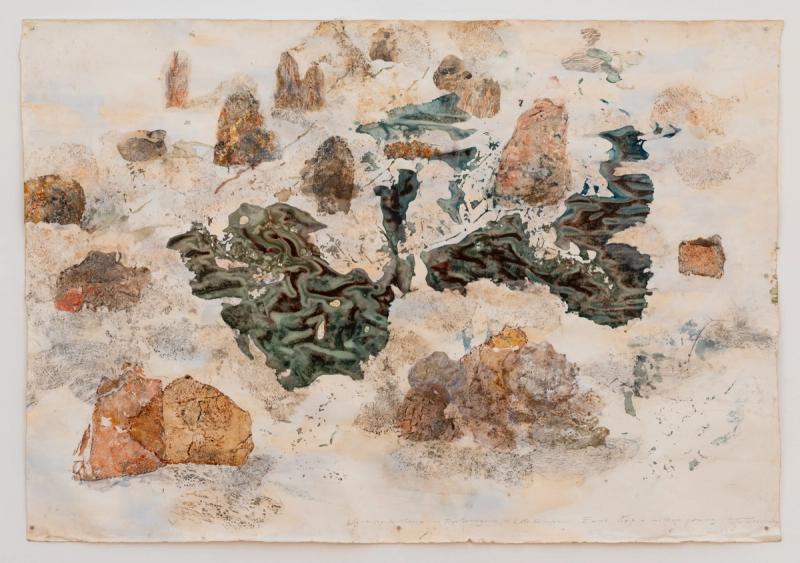 Animal Architecture: Deep Time