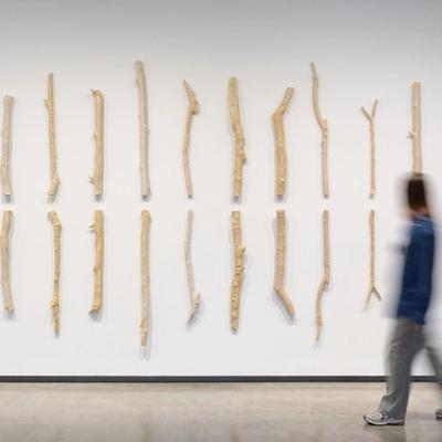 Yasmin Smith: Elemental Life