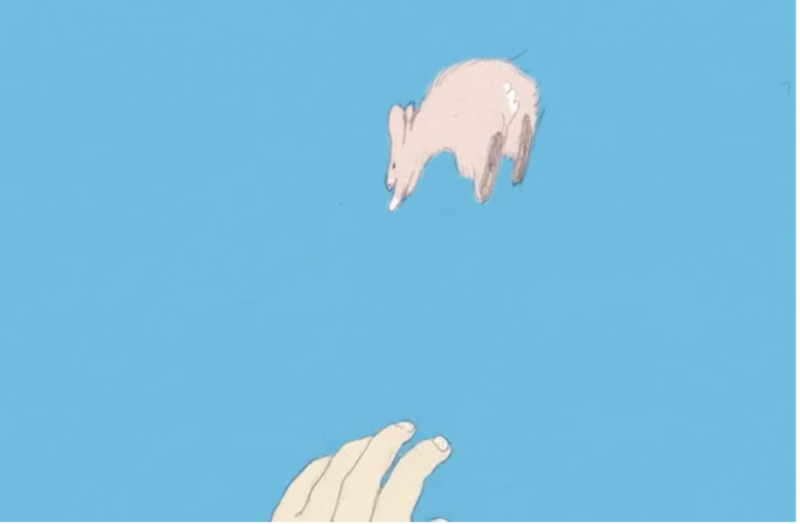 Basic unit of display