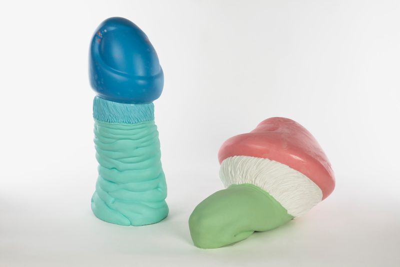 From so simple a beginning, endless forms most beautiful