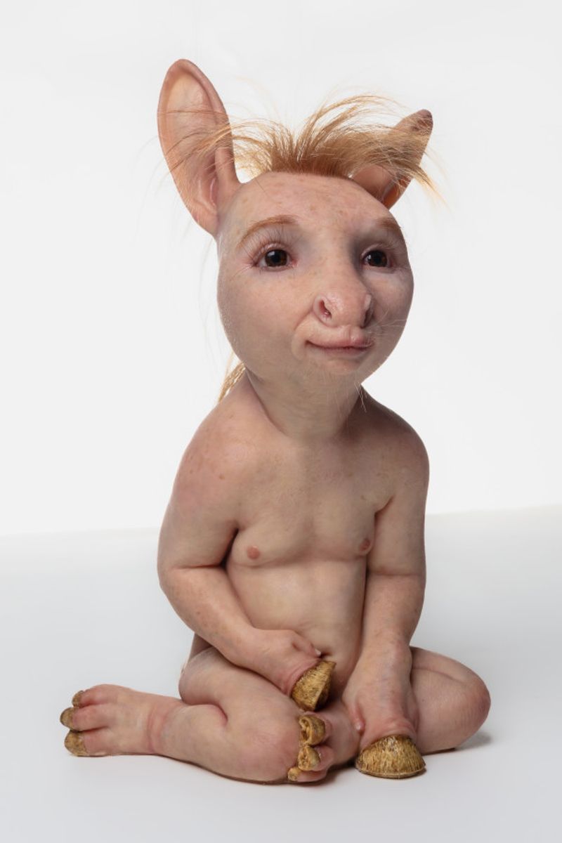 From so simple a beginning, endless forms most beautiful