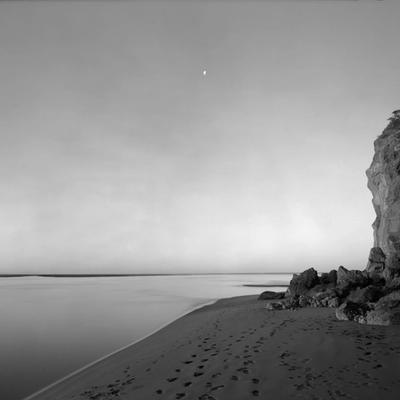 Mark Adams: A Survey | He Kohinga Whakaahua