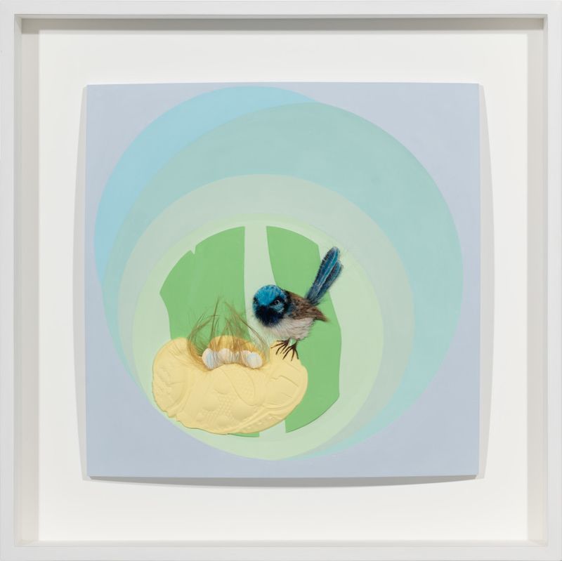 From so simple a beginning, endless forms most beautiful